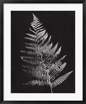 Framed Nature by the Lake Ferns VI Black Crop Print