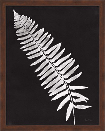 Framed Nature by the Lake Ferns IV Black Crop Print