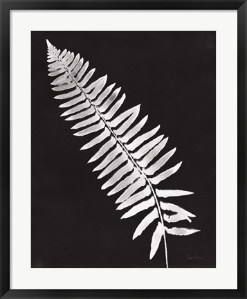 Framed Nature by the Lake Ferns IV Black Crop Print