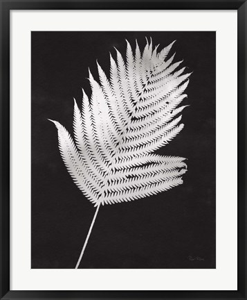 Framed Nature by the Lake Ferns III Black Crop Print