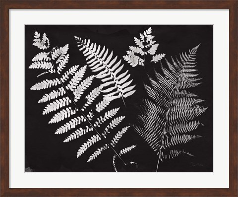 Framed Nature by the Lake Ferns II Black Crop Print