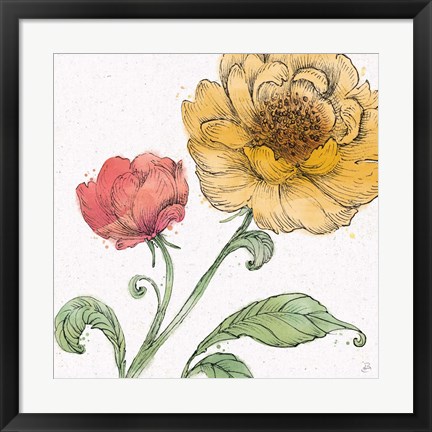 Framed Blossom Sketches III Color Print