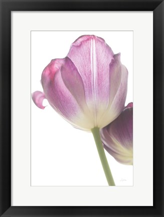 Framed Tulip Time IV Print