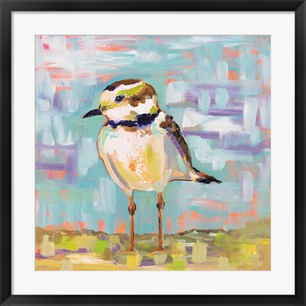 Framed Coastal Plover II Print