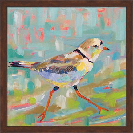 Framed Coastal Plover I Print