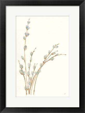 Framed Pussy Willows III Print