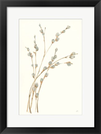 Framed Pussy Willows II Print