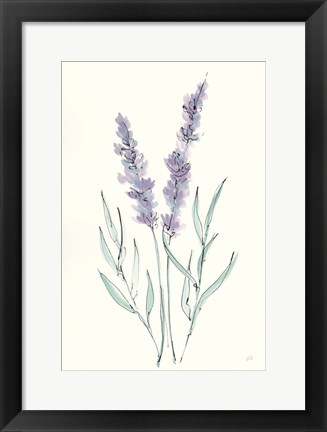 Framed Lavender III Print