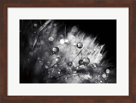 Framed Dandelion Abstract I Print