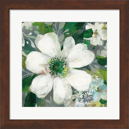 Framed Anemone and Friends V Print