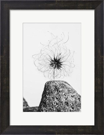 Framed Electrifying Print