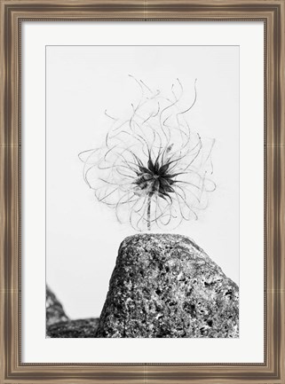 Framed Electrifying Print