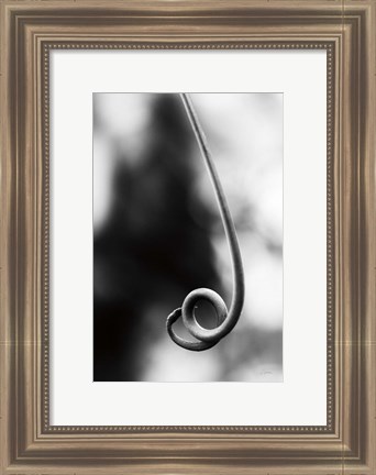 Framed Curly Cue Print