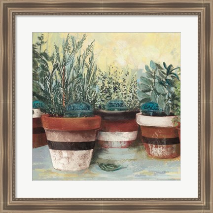 Framed Potted Herbs II Stripes Crop Print