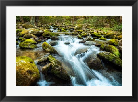 Framed Moss Rocks Print