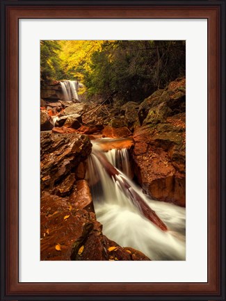 Framed Natures Path Print