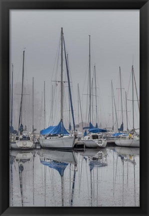 Framed Sailing Boats Print