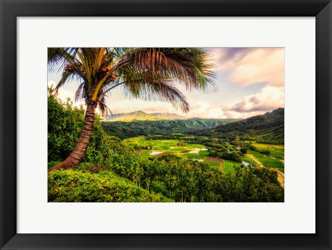 Framed Morning in Paradise Print