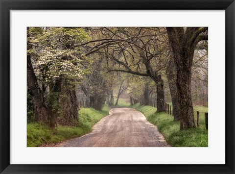 Framed Nature Trail Walks Print