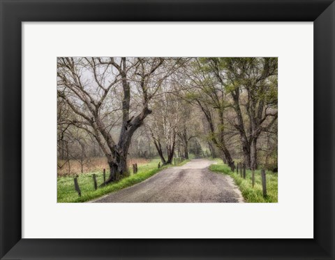 Framed Late Afternoon Walk Print