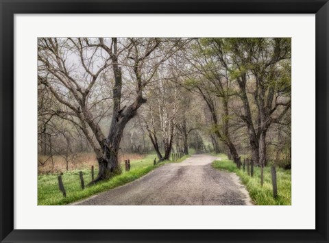 Framed Late Afternoon Walk Print