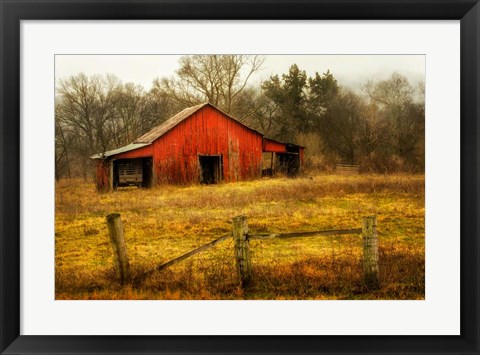 Framed In the Country Print