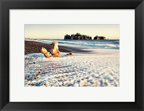 Framed Washed on Shore Print