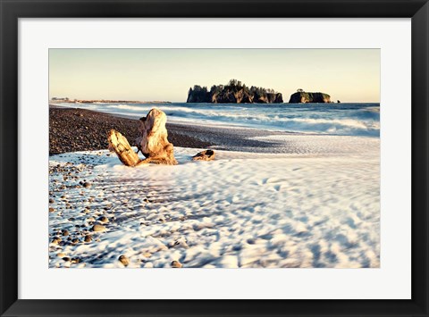 Framed Washed on Shore Print