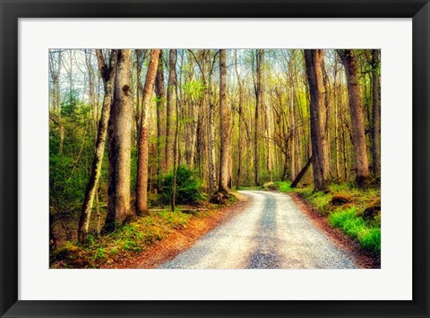 Framed Wood Path Print