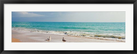 Framed Island Memories II Print