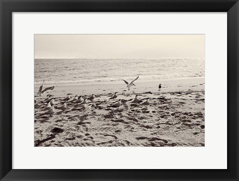 Framed Dream of the Beach II Print