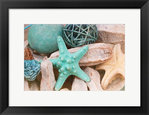 Framed Bundle of Shells I Print