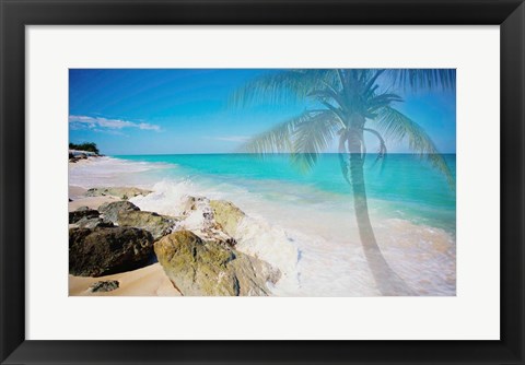 Framed Palm by the Rocks Print