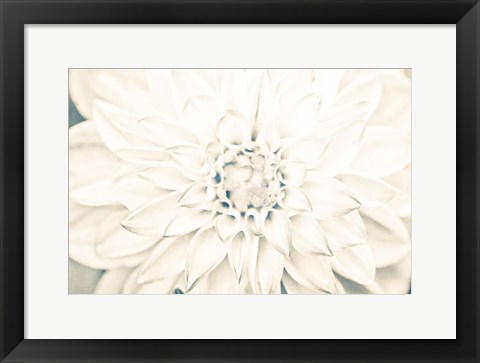 Framed Bright White Bloom I Print