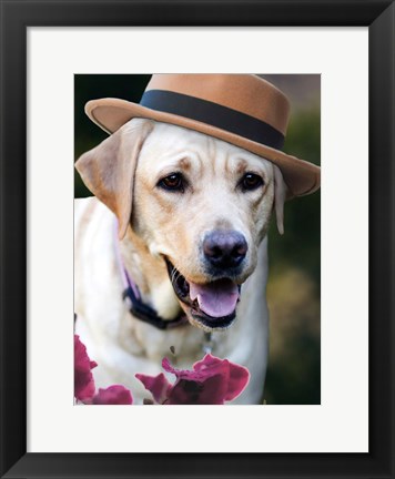 Framed Dapper Dog Print