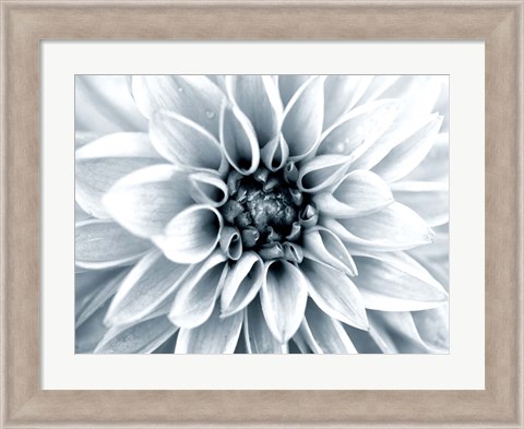 Framed Bright White Bloom Print