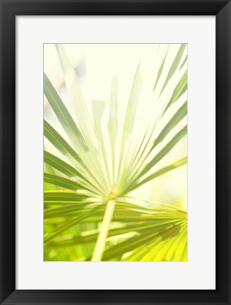 Framed Among Palms I Print