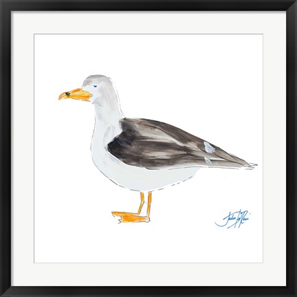 Framed Seagull on White Print