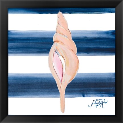 Framed Nautical Shell IV Print