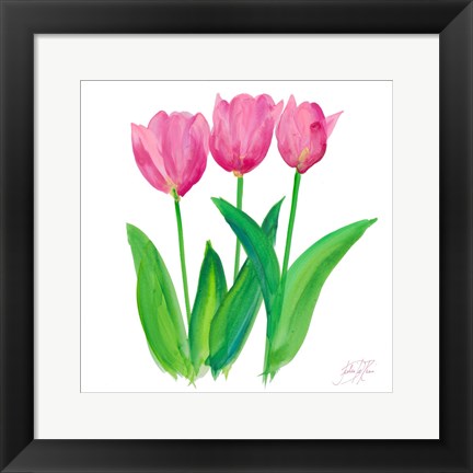 Framed Tulips I Print