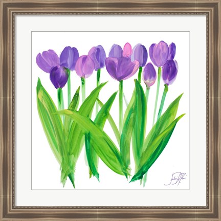 Framed Tulips II Print