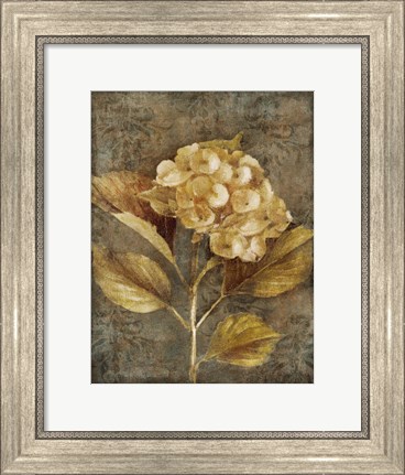 Framed Antique Hydrangea I Print