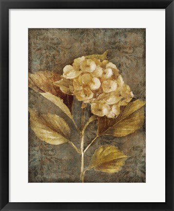 Framed Antique Hydrangea I Print