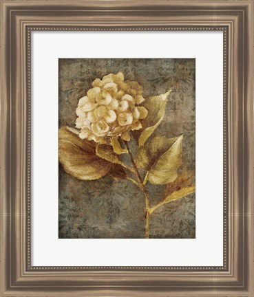 Framed Antique Hydrangea II Print