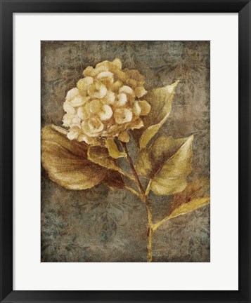 Framed Antique Hydrangea II Print