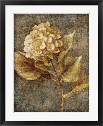 Framed Antique Hydrangea II Print