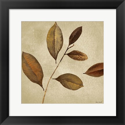 Framed Antiqued Leaves I Print