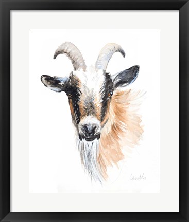 Framed Goat II Print