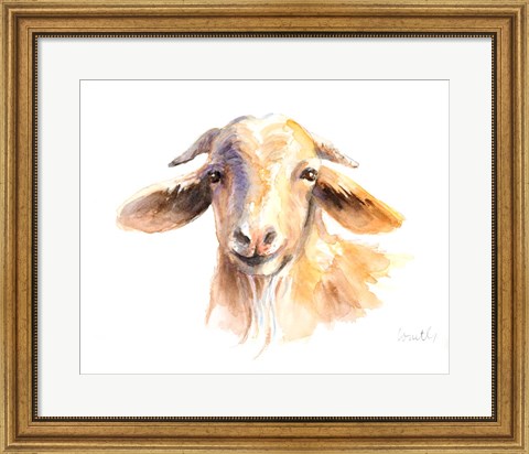 Framed Morning Goat Print