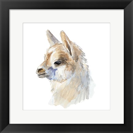 Framed Side Portrait Llama Print